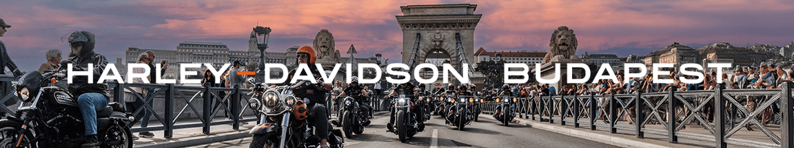 Harley Davidson logo